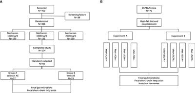 Gut microbiota is correlated with gastrointestinal adverse events of metformin in patients with type 2 diabetes
